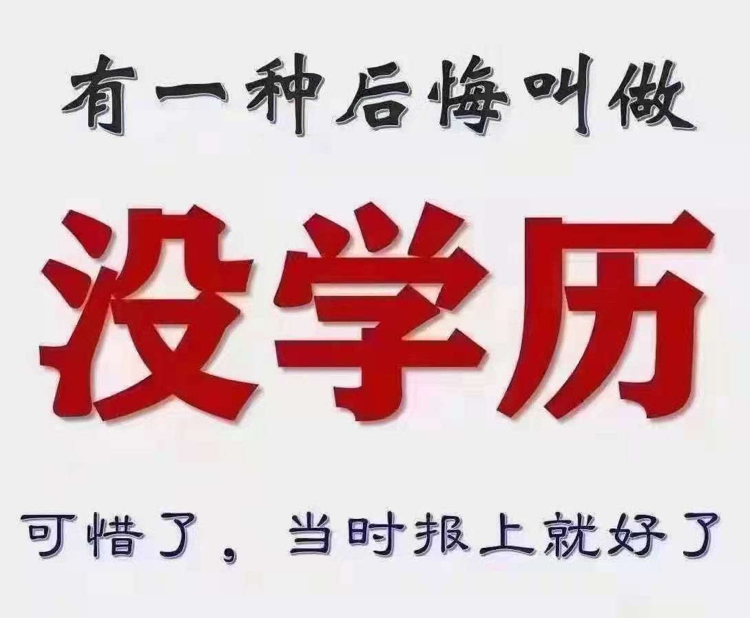 河南成考專升本文憑含金量高嗎？